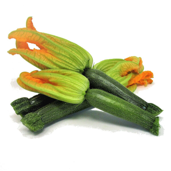 Vendita online zucchine fiore